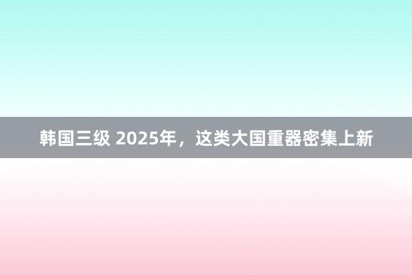 韩国三级 2025年,这类大国重器密集上新