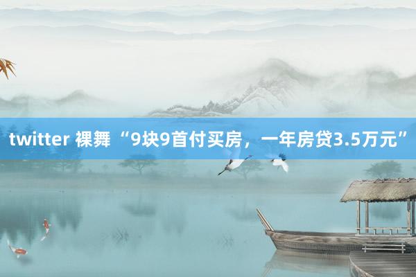 twitter 裸舞 “9块9首付买房，一年房贷3.5万元”