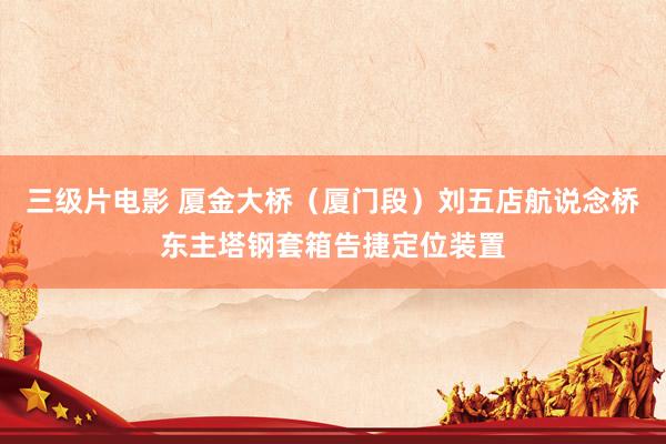 三级片电影 厦金大桥(厦门段)刘五店航说念桥东主塔钢套箱告捷定位装置