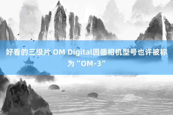好看的三级片 OM Digital因循相机型号也许被称为“OM-3”