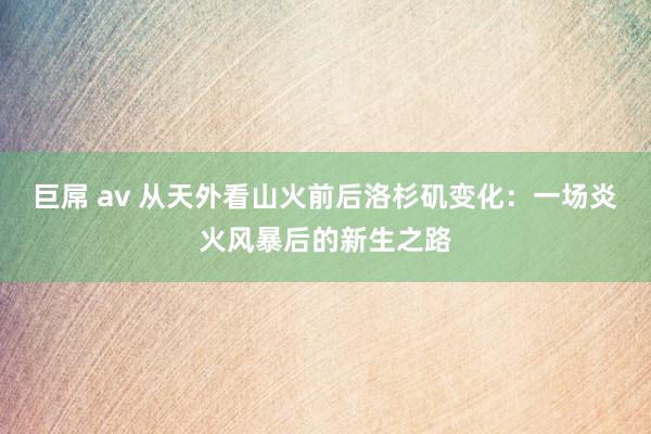 巨屌 av 从天外看山火前后洛杉矶变化:一场炎火风暴后的新生之路