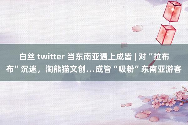 白丝 twitter 当东南亚遇上成皆 | 对“拉布布”沉迷,淘熊猫文创…成皆“吸粉”东南亚游客
