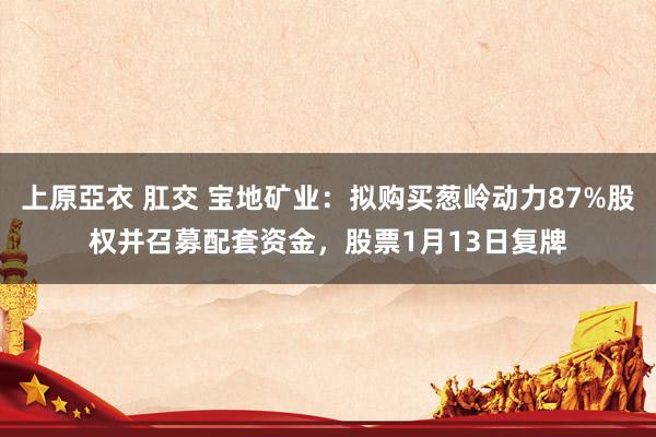 上原亞衣 肛交 宝地矿业:拟购买葱岭动力87%股权并召募配套资金,股票1月13日复牌