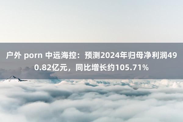 户外 porn 中远海控:预测2024年归母净利润490.82亿元,同比增长约105.71%
