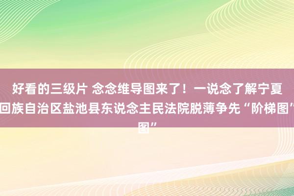 好看的三级片 念念维导图来了！一说念了解宁夏回族自治区盐池县东说念主民法院脱薄争先“阶梯图”