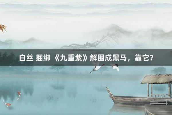 白丝 捆绑 《九重紫》解围成黑马,靠它?