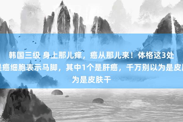 韩国三级 身上那儿痒,癌从那儿来!体格这3处痒是癌细胞表示马脚,其中1个是肝癌,千万别以为是皮肤干