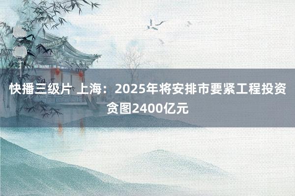快播三级片 上海:2025年将安排市要紧工程投资贪图2400亿元
