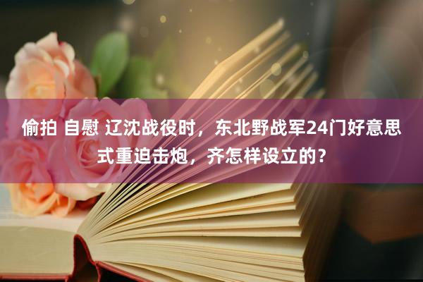 偷拍 自慰 辽沈战役时，东北野战军24门好意思式重迫击炮，齐怎样设立的？