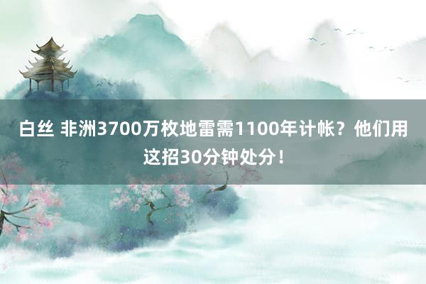 白丝 非洲3700万枚地雷需1100年计帐？他们用这招30分钟处分！