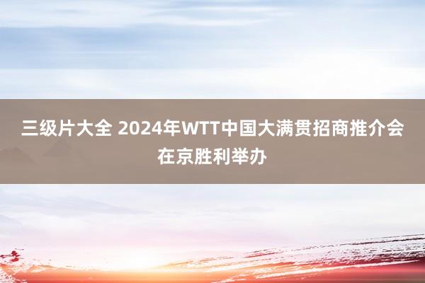 三级片大全 2024年WTT中国大满贯招商推介会在京胜利举办