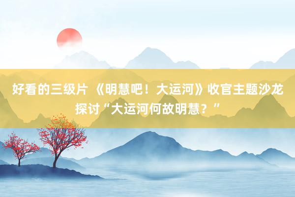 好看的三级片 《明慧吧!大运河》收官主题沙龙探讨“大运河何故明慧?”