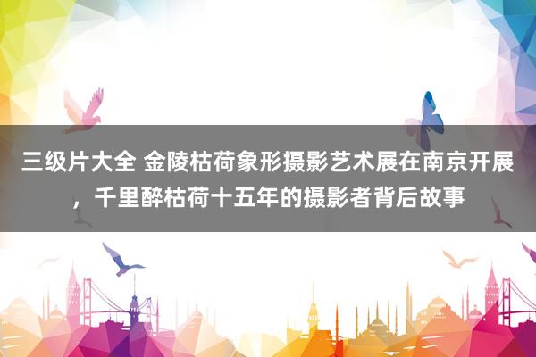 三级片大全 金陵枯荷象形摄影艺术展在南京开展,千里醉枯荷十五年的摄影者背后故事
