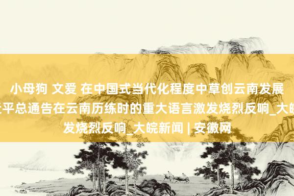 小母狗 文爱 在中国式当代化程度中草创云南发展新局势——习近平总通告在云南历练时的重大语言激发烧烈反响_大皖新闻 | 安徽网