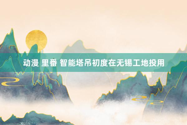 动漫 里番 智能塔吊初度在无锡工地投用