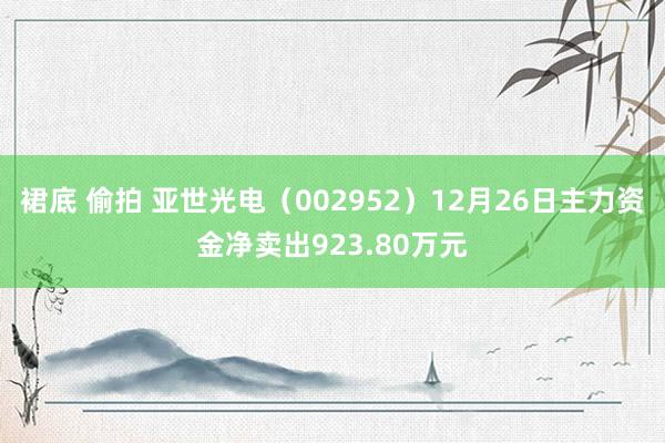 裙底 偷拍 亚世光电（002952）12月26日主力资金净卖出923.80万元