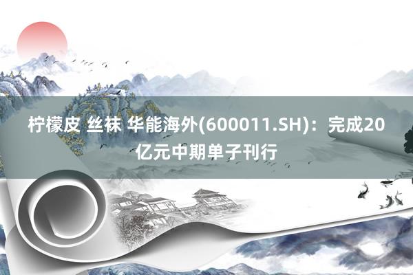 柠檬皮 丝袜 华能海外(600011.SH):完成20亿元中期单子刊行