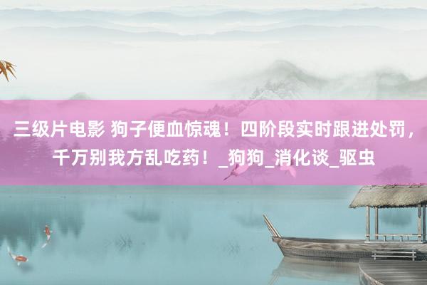 三级片电影 狗子便血惊魂！四阶段实时跟进处罚，千万别我方乱吃药！_狗狗_消化谈_驱虫